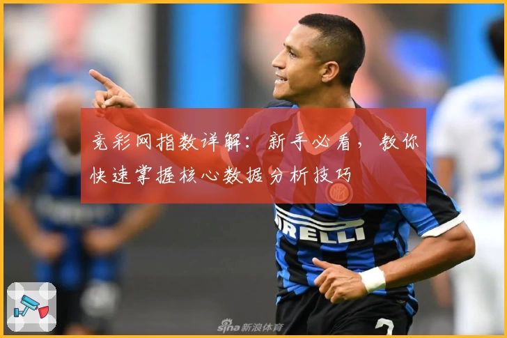 竞彩网指数详解：新手必看，教你快速掌握核心数据分析技巧