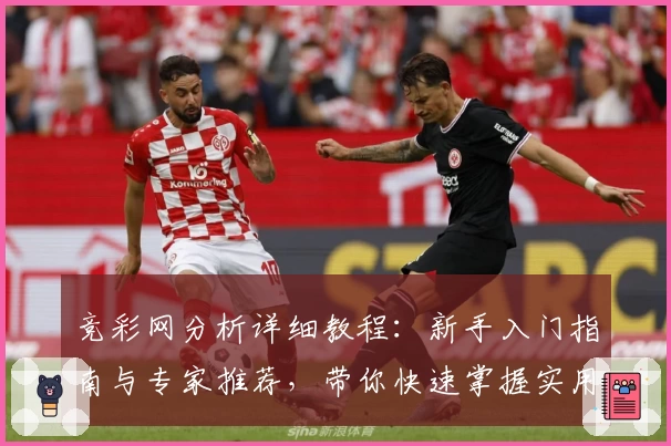 竞彩网分析详细教程：新手入门指南与专家推荐，带你快速掌握实用技巧