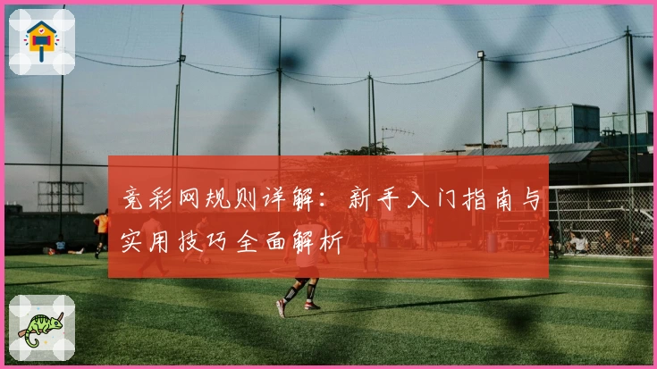 竞彩网规则详解：新手入门指南与实用技巧全面解析